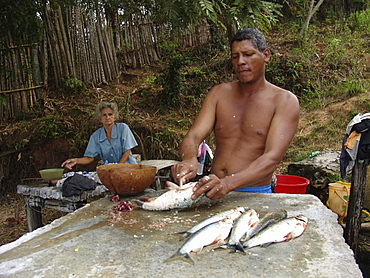 Colombia fisherman cleaning fish beside the rio magdalena, barrancabermeja