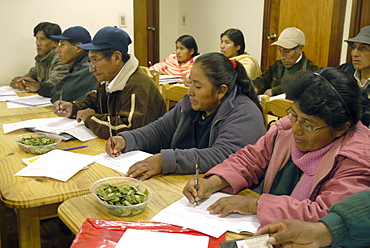 BOLIVIA FUNDAWI: training a group at the FUNDAWI office in La Paz. Coca leaves on the table for chewing