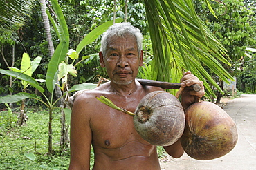 Thailand muslim man carrying coconuts, pattani