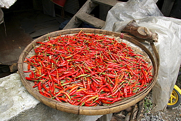 Thailand basket of red chilis drying in the sun