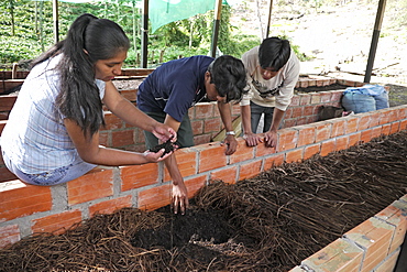 BOLIVIA Plant for processing medicinal and aromatic herbs, Chizchipani, Caranavi. The project of FUNDAWI. Local farmers visiting the demonstration plot and using the wormery composter