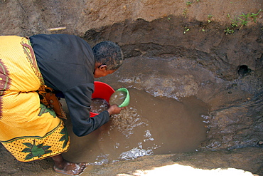 Tanzanian woman collecting unsafe and dirty drinking water from a water hole at kansay, near ngorongoro. She will carry the bucket of water 3 miles each way to and from her home. She and her family suffer from parasites and intestinal complaints because of the contaminated water