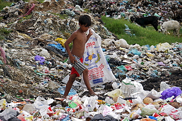 CAMBODIA Boy scavenging for recyclable garbage on rubbish dump of Mean Caeay, Phnom Penh