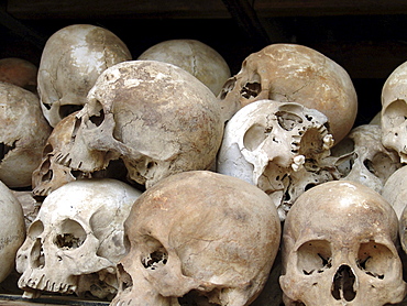 Cambodia skulls of people murdered by the khmer rouge, at the killing fields national monument, pnom penh