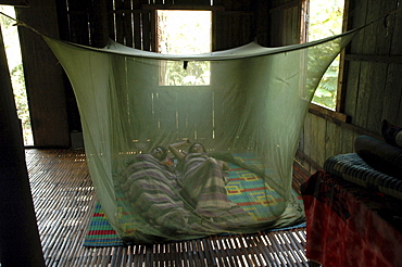 Cambodia couple sleeping in a mosquito net, toul village, kampong cham