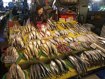 Korea - fish on sale at karakan wholesale food market, seoul