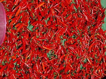 Korea - chillis on sale at karakan wholesale food market, seoul