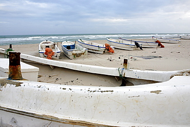 Eyl is a town in somalias puntland state. The prominent clan in eyl district are yonis idiris, a sub-clan of isse mahamud, which in turn is a sub-clan of majeerteen. Eyl is near the hafun peninsula, the location of most of somalias casualties from the 2004 indian ocean tsunami., the tsunami resulted in the death of some 300 people and extensive destruction of shelters, houses and water sources as well as fishing gear. The livelihoods of many people residing in towns and small villages along the somali indian ocean coastline, particularly in the northern regions, were devastated 