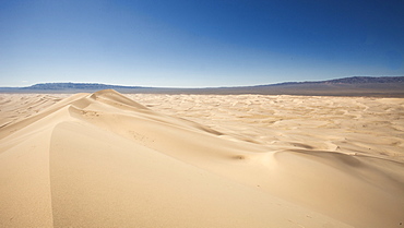 Khongoryn Els Sand dunes in the Gobi Gurvansaikhan National Park in Mongolia, Central Asia, Asia