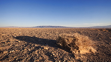 Khongoryn Els Sand dunes in the Gobi Gurvansaikhan National Park in Mongolia, Central Asia, Asia