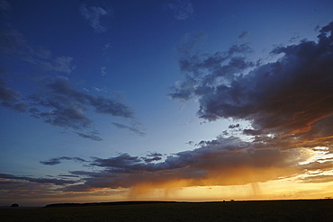 Rain and sunset on the Maasai Mara plains, Kenya, East Africa, Africa