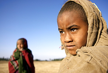 Kids walking in the village in the area of hanamerant, meket, ethiopia ,early in the morning.Kids Are used to work from early in the morning till the sunset on their own.They Usually take care of the horses and cows., Kids walking in the area of hanamerant, meket, ethiopia ,early in the morning.Kids Are used to work from early in the morning till the sunset on their own.They Usually take care of the horses and cows. Ethiopia