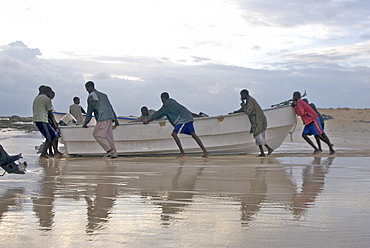 Hardest hit was a 650 kilometers stretch of the somali coastline between garacad (mudung region) and xaafuun (bari region), which forms part of the puntland province near the horn of africa. The tsunami resulted in the death of some 300 people and extensive destruction of shelters, houses and water sources as well as fishing gear. The livelihoods of many people residing in towns and small villages along the somali indian ocean coastline, particularly in the northern regions, were devastated