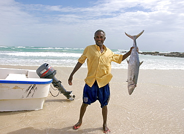 Hardest hit was a 650 kilometers stretch of the somali coastline between garacad (mudung region) and xaafuun (bari region), which forms part of the puntland province near the horn of africa. The tsunami resulted in the death of some 300 people and extensive destruction of shelters, houses and water sources as well as fishing gear. The livelihoods of many people residing in towns and small villages along the somali indian ocean coastline, particularly in the northern regions, were devastated