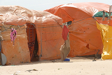 Hardest hit was a 650 kilometers stretch of the somali coastline between garacad (mudung region) and xaafuun (bari region), which forms part of the puntland province near the horn of africa. The tsunami resulted in the death of some 300 people and extensive destruction of shelters, houses and water sources as well as fishing gear. The livelihoods of many people residing in towns and small villages along the somali indian ocean coastline, particularly in the northern regions, were devastated