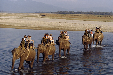  Caravan crossing rapti river chitwan, nepal 