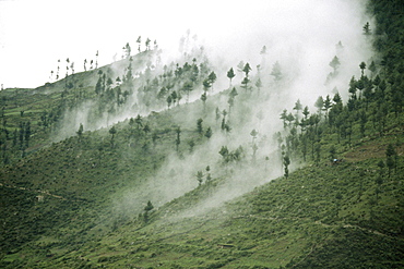 Deforestation. Nepal 