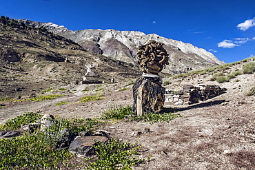 Shrine with Argyle Sheep horns and Blue sheep horns, lower Nyerak village, Ladakh, India, Himalayas, Asia