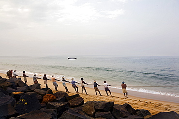 Fishmen pull rope of fishnet. Kovalam, Kerala, India