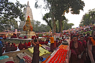 Buddhist monks prostrating at maha bodhi temple complex in bodhgaya. Prostration is a gesture used in buddhist practice to show reverence to the triple gem (comprising the buddha, his teachings, and the spiritual community) and other objects of veneration. Kalachakra initiation in bodhgaya, india  