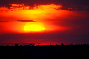 Sunst over the masai mara, kenya  
