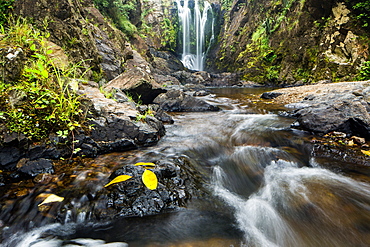 Piroa Falls, Waipu, Northland, North Island, New Zealand, Pacific