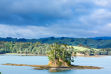 Estuary near Snells Beach, Auckland Region, North Island, New Zealand, Pacific