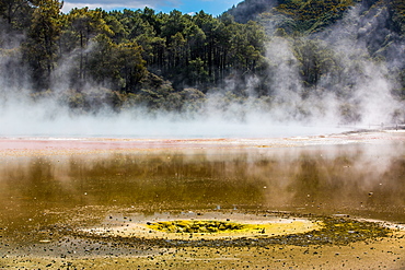 Wai-O-Tapu Thermal Wonderland, Rotorua, North Island New Zealand, Pacific