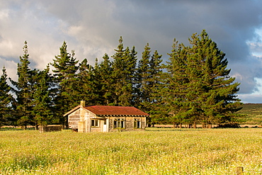 Abandoned house, near Awanui, North Island, New Zealand, Pacific