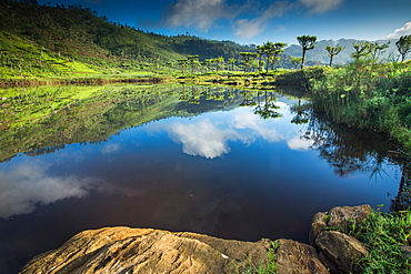 Lake outside Haputale, Sri Lanka, Asia