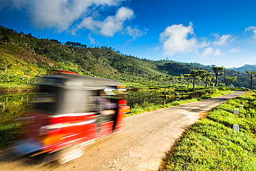 Tuk Tuk driving through a tea plantation near Haputale, Badulla District, Uva Province, Sri Lanka, Asia