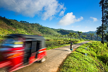 Tuk tuk, Haputale, Sri Lanka, Asia