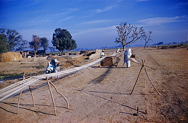 Processing cotton in a village, Punjab, Pakistan, Asia