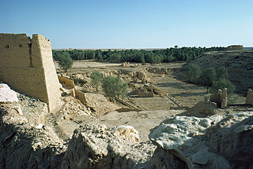 The Oasis, Al Diriya, near Riyadh, Saudi Arabia, Middle East