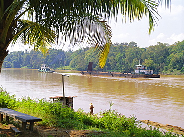 Logging barge on the Kinabatangan River, Eastern Sabah, island of Borneo, Malaysia