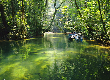 Longboats moored in creek amid rain forest, while tourists visit Clearwater Cave, Mulu National Park, Sarawak, island of Borneo, Malaysia