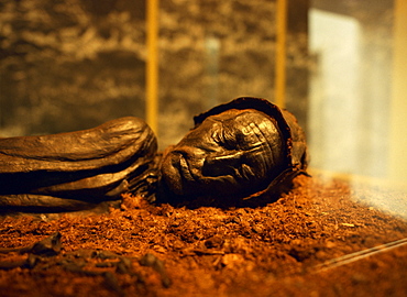 Tollund man found in a nearby peat bog in the Silkeborg museum in central Jutland, Denmark, Scandinavia, Europe