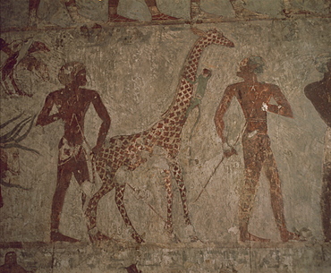 Detail of wall painting in the tomb of Rekhmire, Valley of the Nobles, Thebes, UNESCO World Heritage Site, Egypt, North Africa, Africa