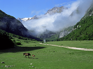 Looking south up Piano della Gardosa valley with track leading towards Mount Vettore, Monti Sibillini National Park, Marche, Italy, Europe