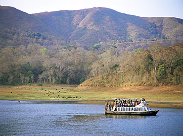 Tourist boat viewing animals, Periyar Wildlife Reserve, Kerala state, India, Asia