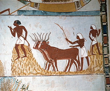 Detail from the Tomb of Menna, Thebes, UNESCO World Heritage Site, Egypt, North Africa, Africa