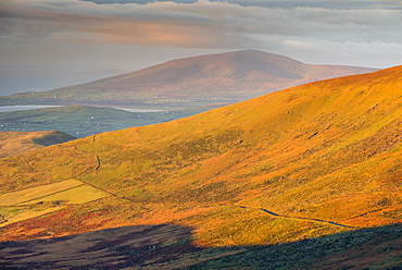 Dingle Peninsula at sunrise, County Kerry, Munster, Republic of Ireland, Europe