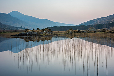 Lake reflection, Cummeenduff Lake, Black Valley, Killarney, County Kerry, Munster, Republic of Ireland, Europe