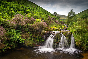 Water cascading over rocks on moorland habitat, Fairbrook, Peak District National Park, Derbyshire, England, United Kingdom, Europe