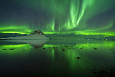 Aurora borealis (Northern Lights) over Kirkjufell Mountain (Wizard's Hat) reflected in ocean, Iceland, Polar Regions