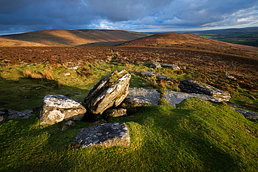 Birch Tor in evening sunlight, Dartmoor National Park, Devon, England, United Kingdom, Europe