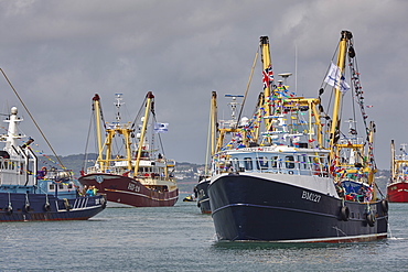 Trawlers in the annual trawler race, off Brixham, in Torbay, Devon, England, United Kingdom, Europe