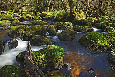 Water flowing around rocks in the Bovey River, Lustleigh Cleave, near Manaton, Dartmoor National Park, Devon, England, United Kingdom, Europe