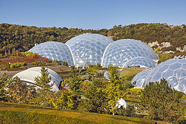 A view of the dome that makes up the Tropical Biome, at the Eden Project, near St. Austell, south Cornwall, England, United Kingdom, Europe