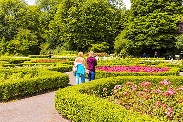 People walking in the rose garden in Vondelpark, Amsterdam, Netherlands, Europe